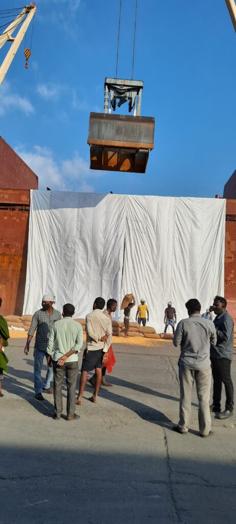 20210203_161938-462×1024